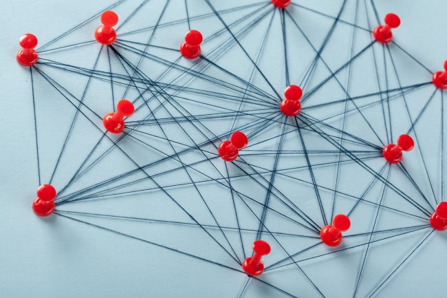 cdn network wpvit